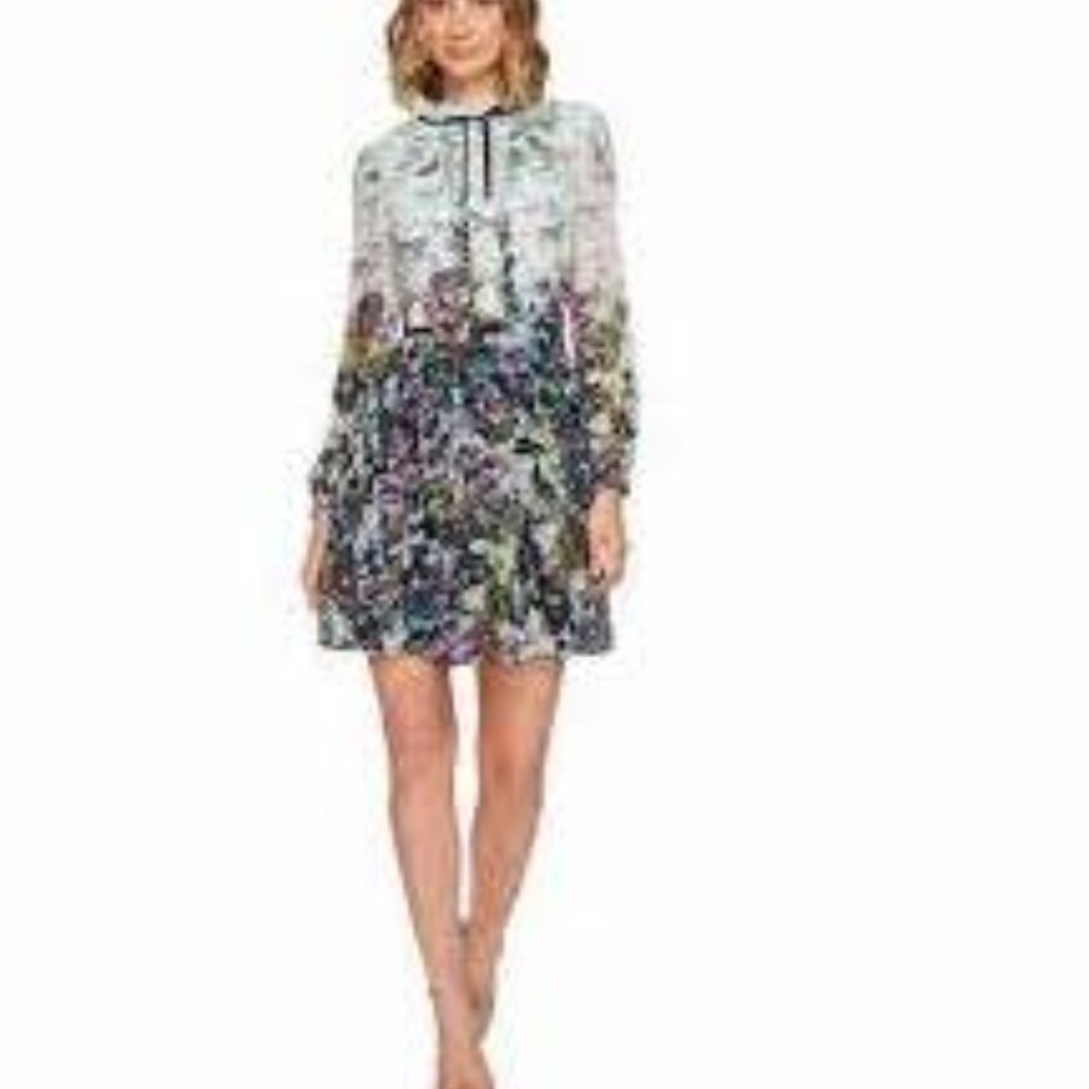 Ted Baker Floral Print Dress Never Worn Size 0